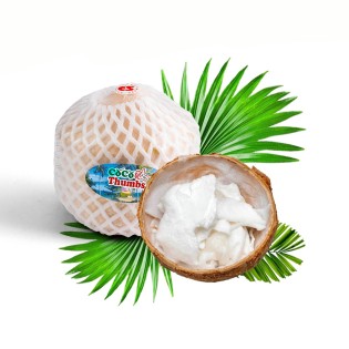 Premium Light Pulp Coconut  - 1 Box (6pcs)