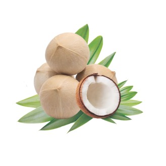 Premium Shell Coconut - 1 Box (6pcs)