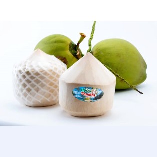 Coconut Standard Young - 1 Box (6pcs)